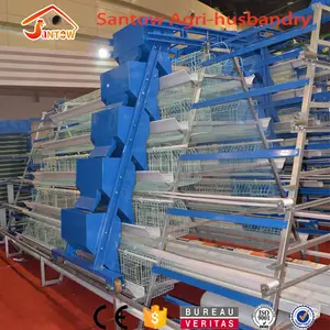 Chicken battery cage automatic layer poultry equipment best sale chicken egg layer cages in south africa