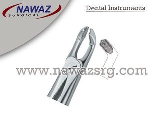 Pinzas para Extracción de Dientes Fig.79, Instrumentos Dentales Manuales de Acero Inoxidable de Alta Calidad con Certificación CE y Logotipo Personalizado - Product Image 2