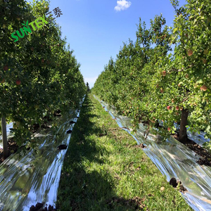 Frutta solare riflettente specchio d'argento Mylar film, agricola laminati di alluminio PE pacciame pellicola, frutteto di apple pellicola riflettente - Product Image 5