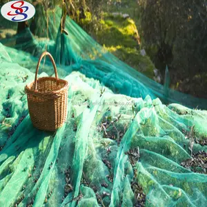 Net Net Wholesale Olive Tree Collect Harvest Net