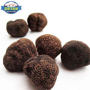 Detan Negro <span class=keywords><strong>salvaje</strong></span> fresco <span class=keywords><strong>trufa</strong></span> precio - Product Image 1