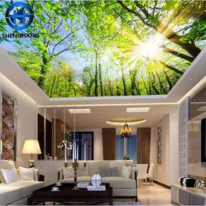 <span class=keywords><strong>Papier</strong></span> <span class=keywords><strong>peint</strong></span> pour <span class=keywords><strong>plafond</strong></span> et mur/<span class=keywords><strong>Papier</strong></span> <span class=keywords><strong>peint</strong></span> 8D avec <span class=keywords><strong>papier</strong></span> <span class=keywords><strong>peint</strong></span> chinois de haute qualité, design magnifique, couleur magnifique - Product Image 1