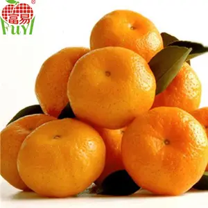 Nanfeng Oranye Mandarin Bayi/Rasa Asam/Diskon Besar