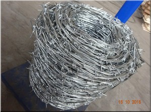 Diskon Hot-Dipped galvanis kawat berduri harga Per gulungan/kawat berduri gulungan pagar untuk dijual - Product Image 3