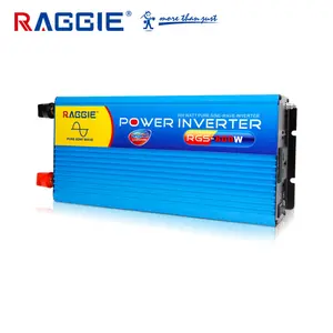 RAGGIE DC naar AC 800 w Omvormer 12 v 220 v Omvormer