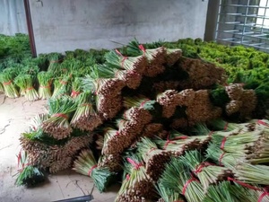 Tersedia stok teh herbal Lemongrass kering kualitas tinggi daun teh Lemongrass hijau segar bumbu Lemongrass kering