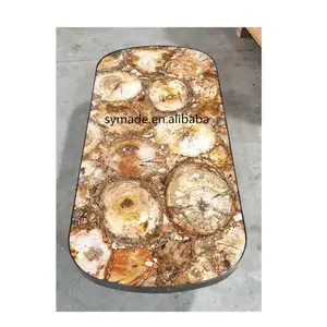 Hot Sale Holy Land Slab untuk Dekorasi Rumah/Merah Fosil Kayu Batu