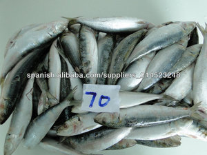 Sardina Congelada - Product Image 3