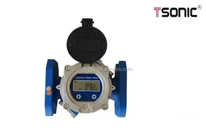 Remote Reading Ultrasonic Liquid Water Flow Meter