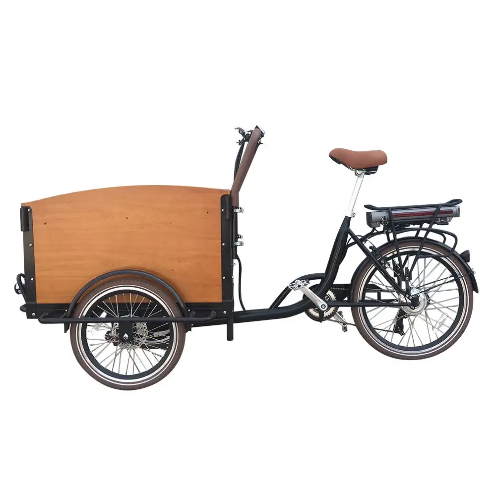 ZZMERCK Cheap Price 250W Motor Aluminum Frame 3 Wheels Road Bikes Family Electric Cargo Tricycle