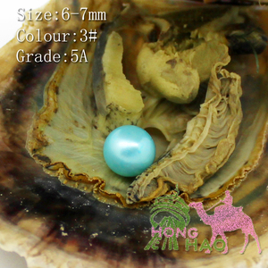 Ostriche confezionate sottovuoto da 6-7mm akoya pearl oyster saltwater pearl oyster molti colori stock spedizione gratuita - Product Image 2