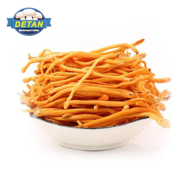 Свежий цветок Кордицепса Detan, цена