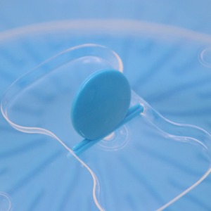 Boîte à gâteau en plastique sans BPA - Product Image 5
