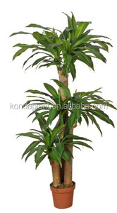 Plantas suculentas artificial/falso Árbol/árbol de los bonsai de plástico - Product Image 2