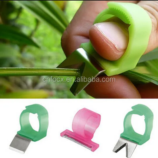Goed Ontwerp Groente Fruit Picker Picking Ring/Tuin Oogsten Cut Tool/Groente-en Snijgereedschap