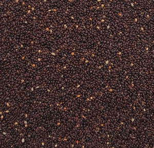 Best Selling Premium Wholesale Bird Feed Seeds Broom Corn Broomcorn <strong>Red</strong> Yellow Black White Green <strong>Millet</strong>
