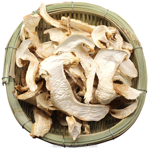 Detan En Tranches Séchées Bolets Champignons