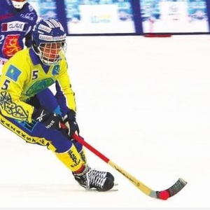 탄소 bandy 스틱 경량