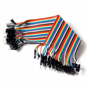 Pin Dupont Wire Colori Jumper Cable 1 P-1 P 2.54mm Maschio a Femmina Cavo di Montaggio