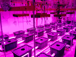 Venta caliente 2016 espectro completo llevado crece la luz Apolo 8 crece la luz planta de luz luces de jardín - Product Image 5