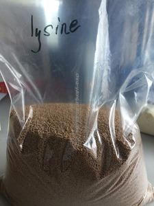 كريات كلوريد الليسين/حبيبات اهتزازية مستمرة احترافية - Product Image 2