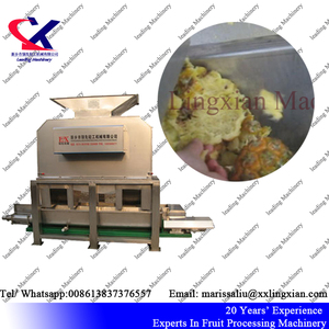 Efficacité Grande Capacité <span class=keywords><strong>Pulpe</strong></span> D'<span class=keywords><strong>ananas</strong></span> Faisant La Machine - Product Image 1
