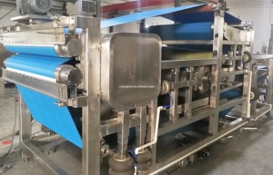 KingTree công suất Lớn công nghiệp trái cây báo chí của vành đai loại cho Noni của apple pear cà rốt màu cam dừa - Product Image 6