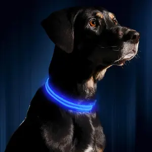 Penjualan Laris Kerah Anjing LED Lampu Berkedip Kerah Hewan Peliharaan Dapat Diatur USB Isi Ulang Perlengkapan Hewan Peliharaan Kerah Anjing