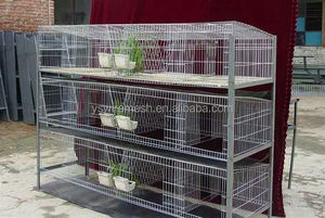 Cage d'élevage de lapins/treillis métallique soudé pour Cage à lapins/couches de Cage à lapins <span class=keywords><strong>10</strong></span> nouveau produit écologique 2020 fabricant fourni