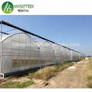 Struttura d'acciaio galvanizzata Tunnel commerciale del pomodoro del rivestimento dello zinco 275g/sqm - Product Image 2