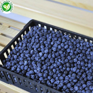 Iqf organico congelati mirtillo frutta fresca di massa congelato mirtilli