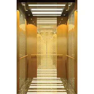 Chinese elevator supplier passenger lift/ elevator factory