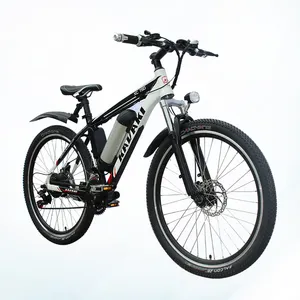 Discブレーキ折りたたみ24インチe-バイク/電動自転車/自転車500W展開電気eバイク