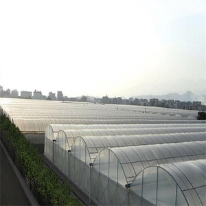 Large tunnel 9.6m/ 10m multi span film greenhouse with sun shading and ventation system