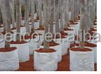 Maceta de flores de jardín no tejida recubierta de estilo rural, macetas <span class=keywords><strong>para</strong></span> árboles y plantas, uso de suelo, maceta de diseño de fieltro - Product Image 6