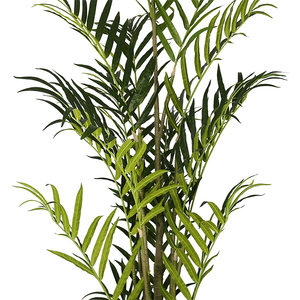 Cây Cọ Madeira Nhân Tạo Lớn 2.8M Thiết Kế Tự Nhiên - Product Image 3