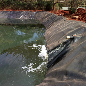 HDPE LDPE LLDPE pond liner / 0.5mm 1.0mm 2.0mm HDPE geomembrane price