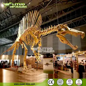 Exposição do museu de Esqueleto do Dinossauro Spinosaurus