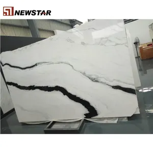 Newstar 热卖熊猫白色大理石石材陶瓷地砖 60x60 室内瓷砖