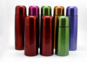 Drinken Fles 500Ml Dubbele Muur Bullet Vorm Rvs Fles