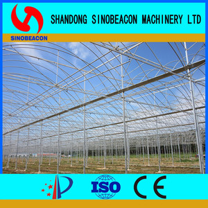 China Popular <span class=keywords><strong>de</strong></span> la Construcción <span class=keywords><strong>de</strong></span> <span class=keywords><strong>Invernaderos</strong></span> - Product Image 3