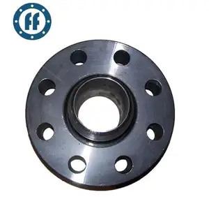 Swivel Ring Flange