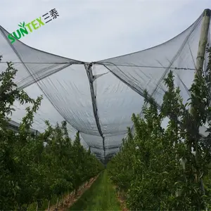 Red de <span class=keywords><strong>malla</strong></span> antigranizo <span class=keywords><strong>para</strong></span> fruta de planta de árbol y material de cubierta de HDPE Red antigranizo, <span class=keywords><strong>malla</strong></span> de <span class=keywords><strong>granizo</strong></span> - Product Image 5