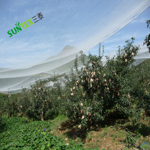100% New HDPE Orchard mưa đá bảo vệ <span class=keywords><strong>Net</strong></span> 50gsm Trắng nông nghiệp nhựa chống <span class=keywords><strong>Bird</strong></span> <span class=keywords><strong>Net</strong></span> 30% Trắng <span class=keywords><strong>Shade</strong></span> <span class=keywords><strong>Net</strong></span> - Product Image 4