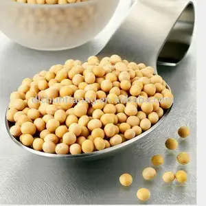 organic soya bean NON GMO