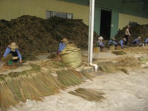 Home Use Grass Broom with Dustpan <b>Stick</b> <b>Made</b> From Raw Material for Daily Cleaning - Product Image 4