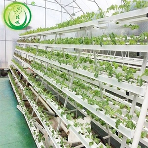 Jiapei ticari hydroponics sistemleri dikey NFT kanalları İklim kontrolü sera