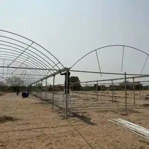 नामीबिया के लिए वाणिज्यिक ग्रीनहाउस टमाटर खेती