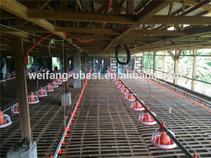 Responsable de la instalación de equipos de granja de animales para pollos de engorde y <span class=keywords><strong>gallinas</strong></span> - Product Image 1