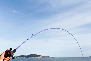 Fuji forte ed <span class=keywords><strong>elastico</strong></span> lento jigging <span class=keywords><strong>canna</strong></span> <span class=keywords><strong>da</strong></span> <span class=keywords><strong>pesca</strong></span> prezzo - Product Image 6
